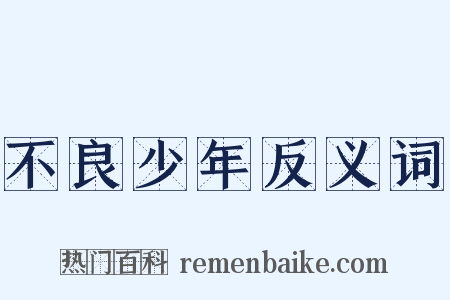不良少年反义词是什么意思的图片